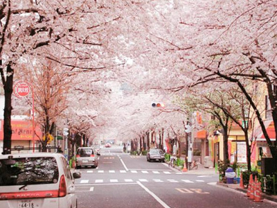 لماذا لا توجد عبوات قمامة في الشوارع اليابانية تقريبًا؟